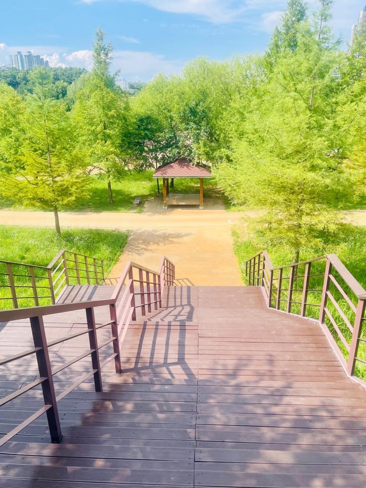 Jo-Danna de Klerk in Paju, South Korea